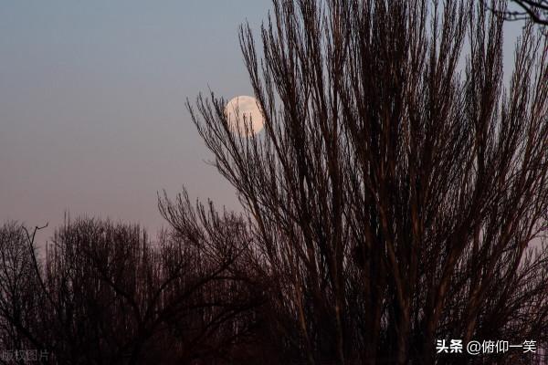 中秋，一個讓你舉頭望月、低頭思鄉的節日