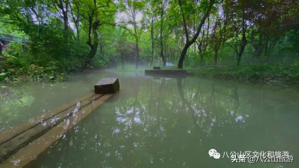 這十條來八公山的理由，看完你還不心動嗎？