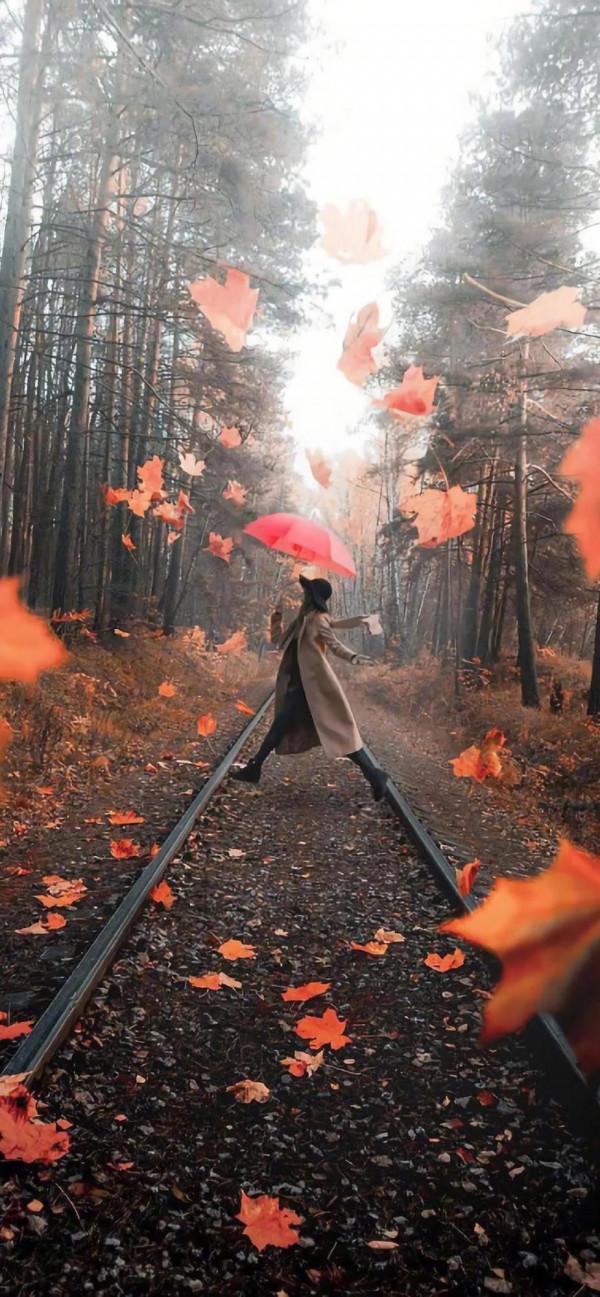 （Nadia Bulgaria）「周運」白羊，金牛，雙子10.11-10.17