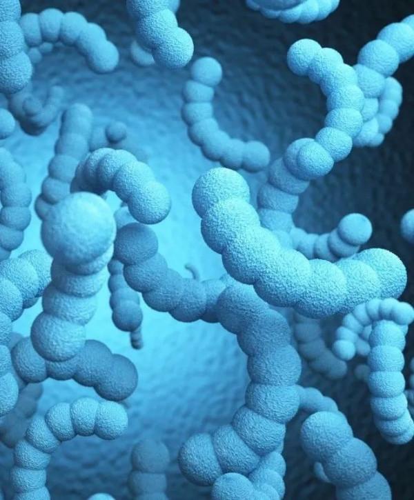 天氣變涼後,更要做好廚房除菌 天氣變涼後,更要做好廚房除菌