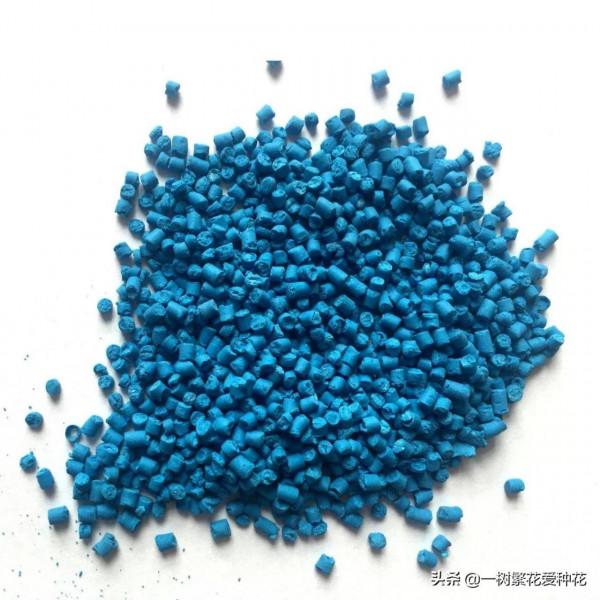 多肉常見問題：化水、黑腐、病蟲害，大家發圖，我來診斷和治療