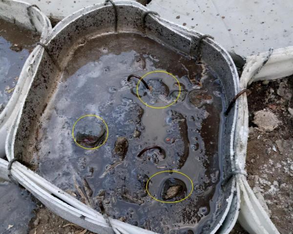 用紙板將水泥框起來現澆,人造石鋪院子地面,比純打水泥價效比高 用紙板將水泥框起來現澆,人造石鋪院子地面,比純打水泥價效比高