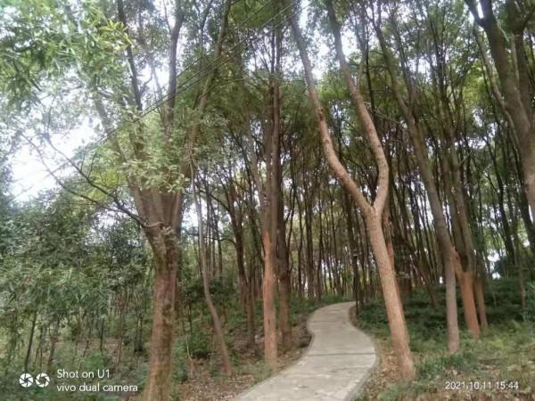 秋萍退休後一人一車自駕遊～第40天，完美的駐紮地