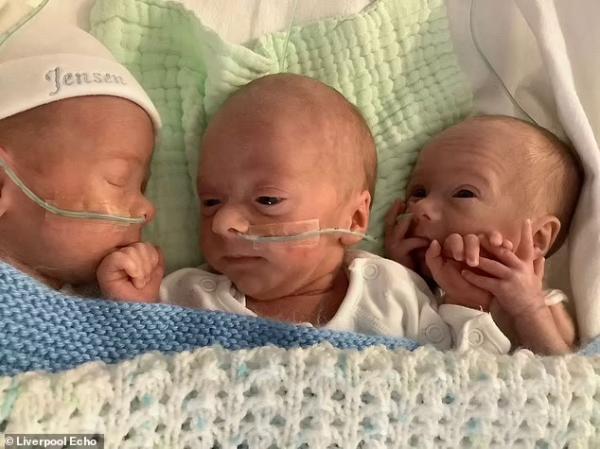 英國媽媽生下同卵三胞胎,自然懷孕的機率僅為兩億分之一 英國媽媽生下同卵三胞胎,自然懷孕的機率僅為兩億分之一