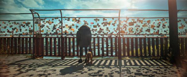 疲了一年的好萊塢大片，終於硬起來了