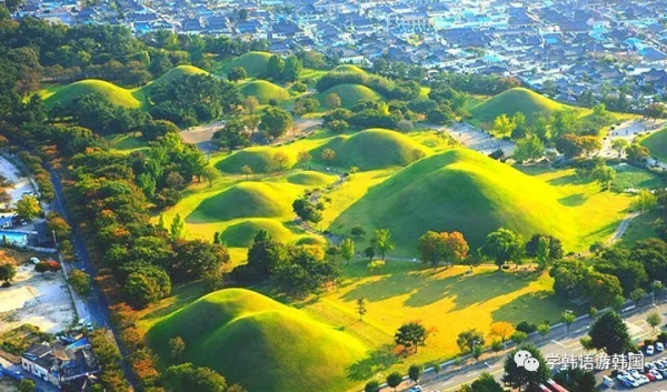 「遊」韓國的這座城市不允許建高樓，甚至家門口前都是墓地