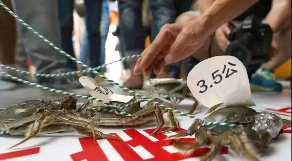 【我們的節日】預備!一起出發~ 【我們的節日】預備!一起出發~