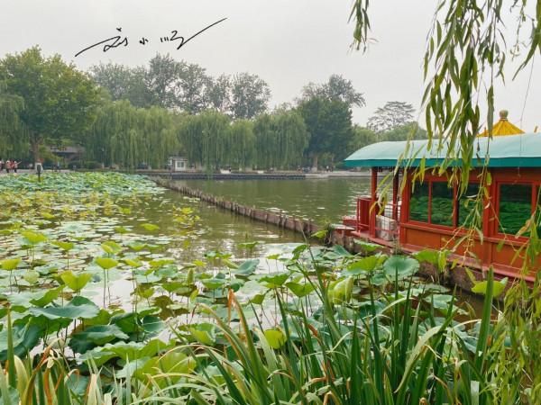山東濟南著名的泉水湖,因《還珠格格》而家喻戶曉,遊客都來打卡 山東濟南著名的泉水湖,因《還珠格格》而家喻戶曉,遊客都來打卡