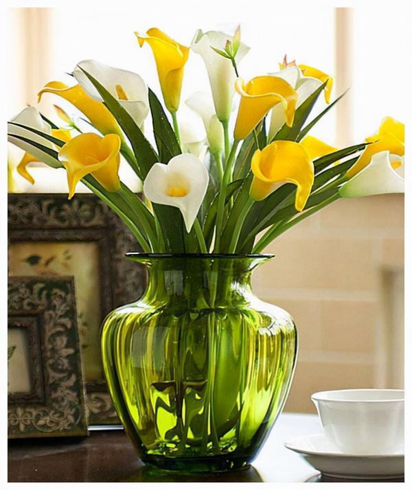 這三種“耐陰花”不適合在室內養，不是迷信，真的有“科學依據”