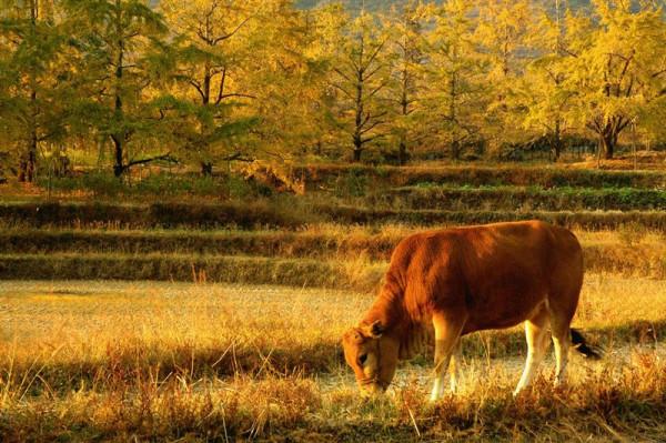 活著,真不是一件容易的事 活著,真不是一件容易的事