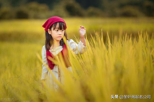 寶寶起名 純潔無憂，溫暖治癒的女孩名字大全（帶解釋）