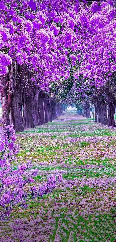 世界很大，風景很美，而你卻不是那個想走就走的人