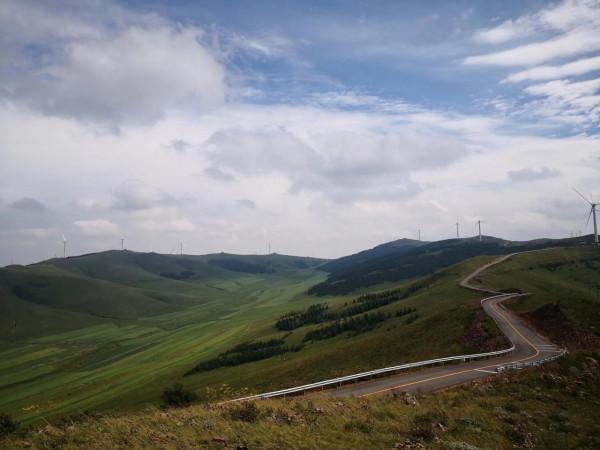 悠悠林海 歲歲情緣