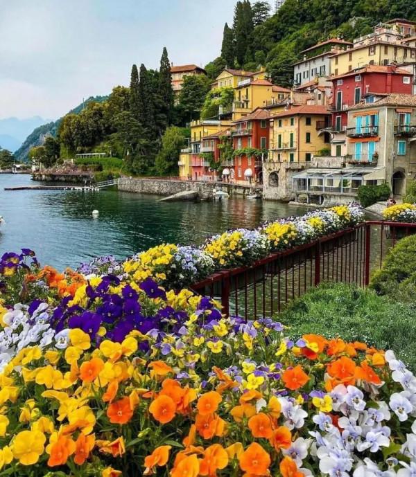 25張圖片看奇妙世界,青花陶瓷服裝,日本透明廁所 25張圖片看奇妙世界,青花陶瓷服裝,日本透明廁所