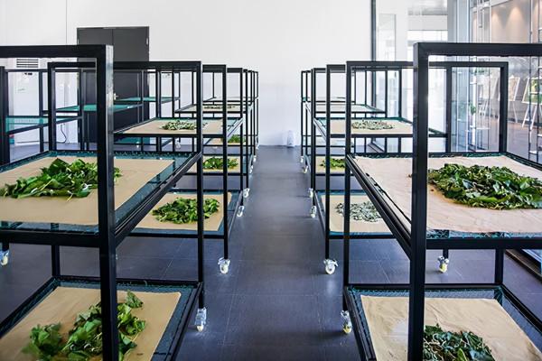 長三角這9條美麗鄉村休閒旅遊行（秋季）路線，你走過幾條？