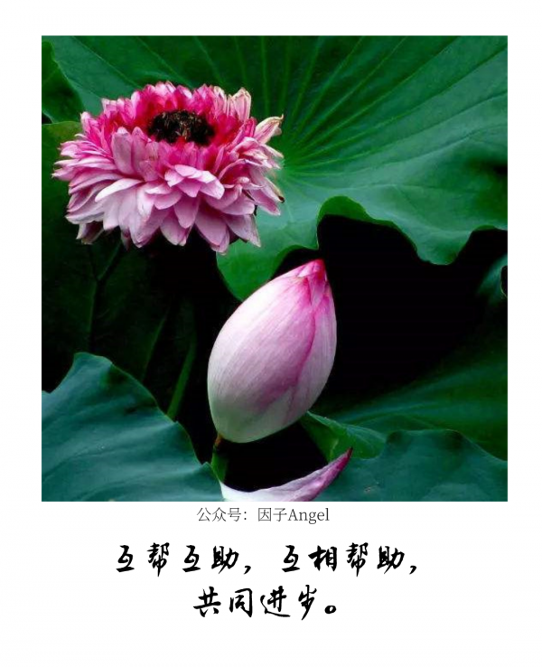 植物之36技&mdash;&mdash;熱