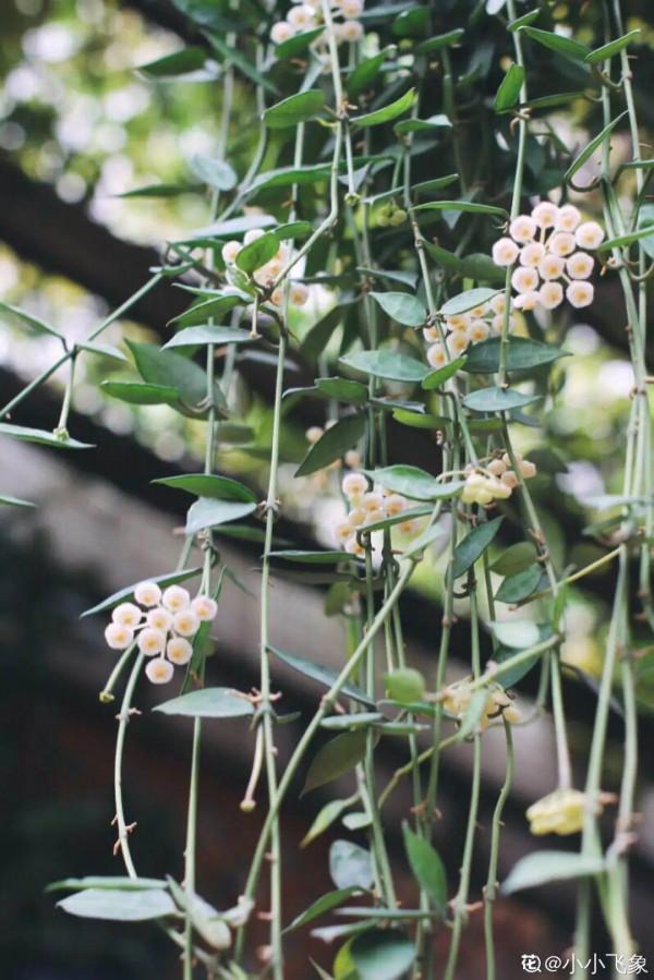 注意!花盆要是太深,養花要注意,很容易爛根 注意!花盆要是太深,養花要注意,很容易爛根