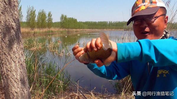 十年前我用伊豆，十年後我用袖鉤、海夕和伊勢尼，和伊豆漸行漸遠