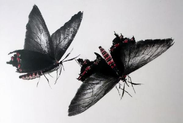 齊白石筆下的飛蟲,精細之極 齊白石筆下的飛蟲,精細之極