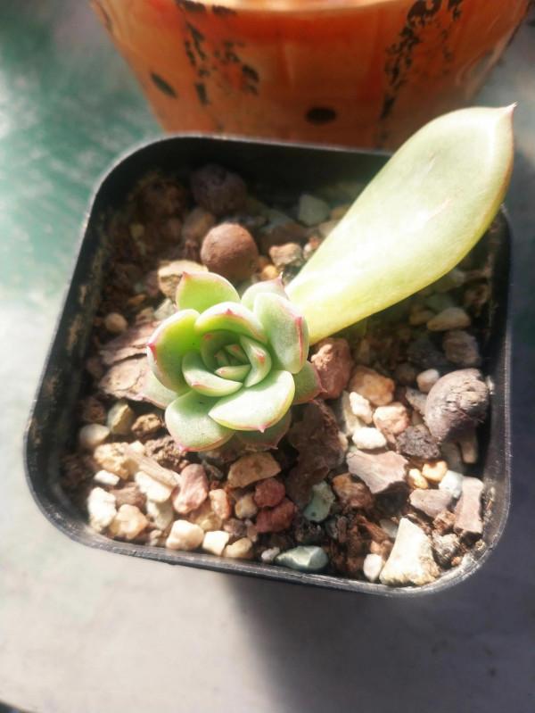 “希望和悲傷,都是一縷光” “希望和悲傷,都是一縷光”