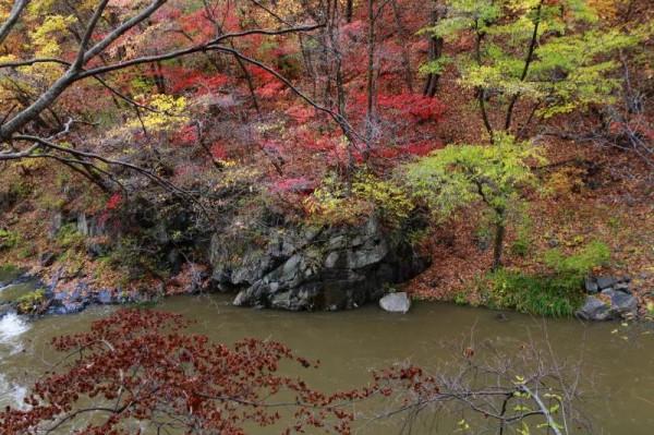 遼寧清原筐子溝楓葉正紅