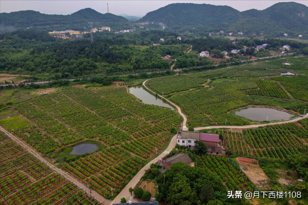 清朝時他任湖南常寧知縣，離任七年後路過常寧數萬百姓夾道歡迎