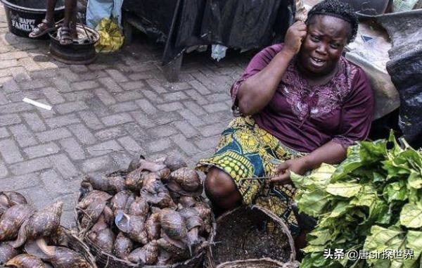 非洲的菜市場，顛覆你的三觀，這些東西在菜市場都能夠見到
