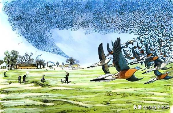 100年，50億生命的消失，美國旅鴿到底是如何被滅絕的？