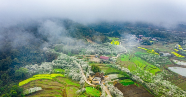 田野鄉村，風景如畫