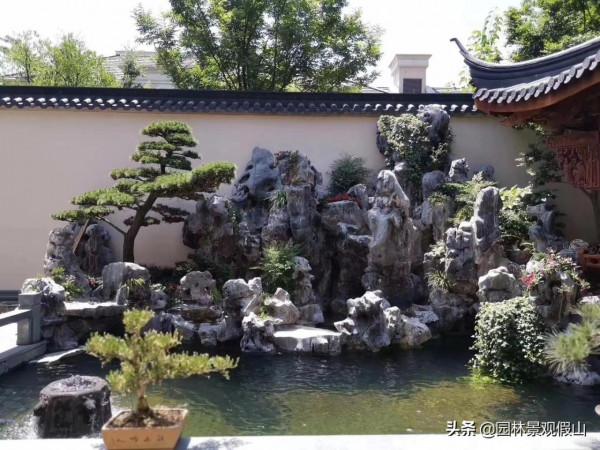 庭院魚池就要這6步，拒絕走彎路少花冤枉錢