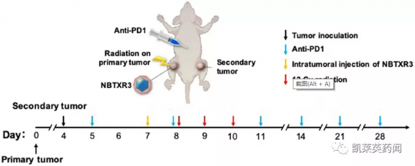 NBTXR3開展頭頸癌3期臨床試驗
