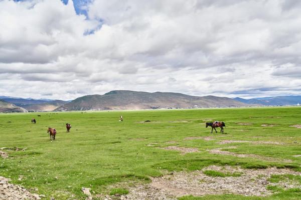 試駕賽道級寬體家轎奕炫MAX 從麗江自駕香格里拉納帕海