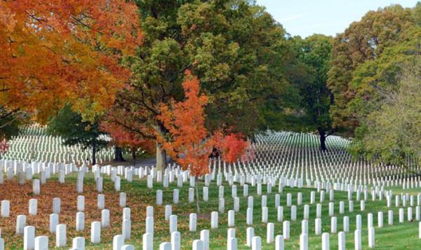 滿滿的儀式感，美國阿靈頓公墓驗槍換崗背後的故事