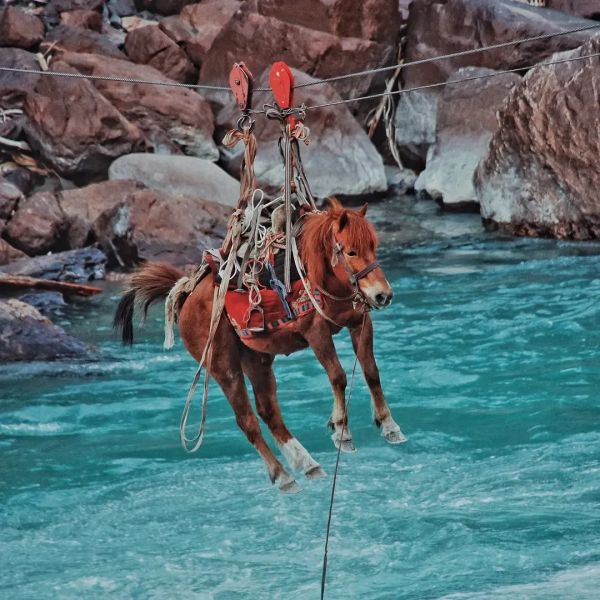 中國西南最偉大的古道，早該火了