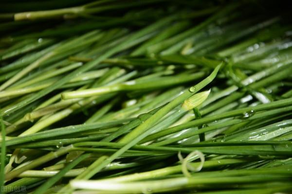 香蔥怎麼儲存?老菜農教你3招,不用隔三差五買香蔥,方法太棒了 香蔥怎麼儲存?老菜農教你3招,不用隔三差五買香蔥,方法太棒了