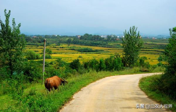 天氣預報:中秋節下雨,好不好?中秋之後會變天嗎? 天氣預報:中秋節下雨,好不好?中秋之後會變天嗎?