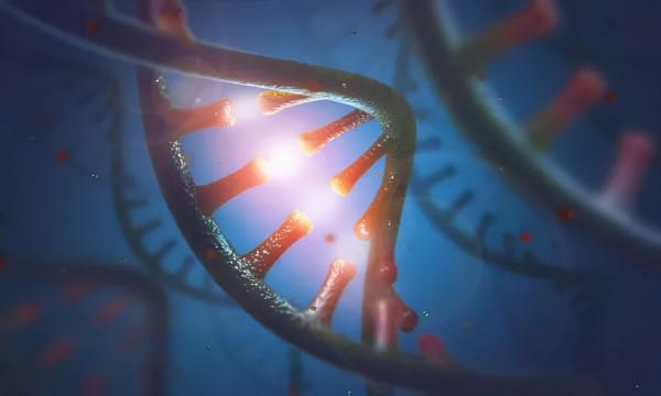 2022年值得關注的十大臨床試驗 | 年度盤點