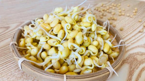 立春後要常吃這6種菜,跟著季節吃時令,古人的養生智慧要善用 立春後要常吃這6種菜,跟著季節吃時令,古人的養生智慧要善用