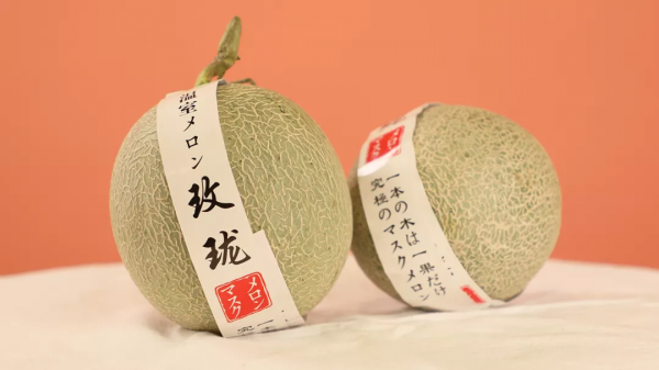 28斤！我們在拼多多上用100塊實現了水果自由