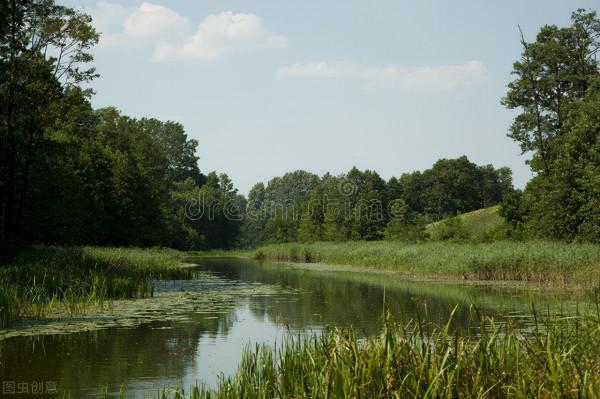 雜文系列七十四：真把我當“二彪子”了？
