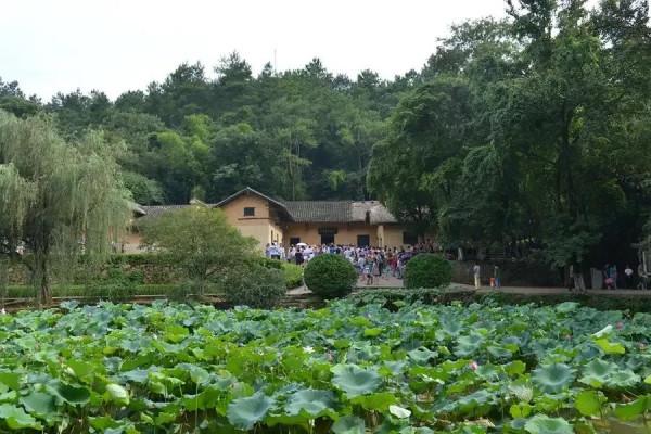 1959年，毛主席重回韶山，共和3000名鄉親握手，最後手竟然握腫了