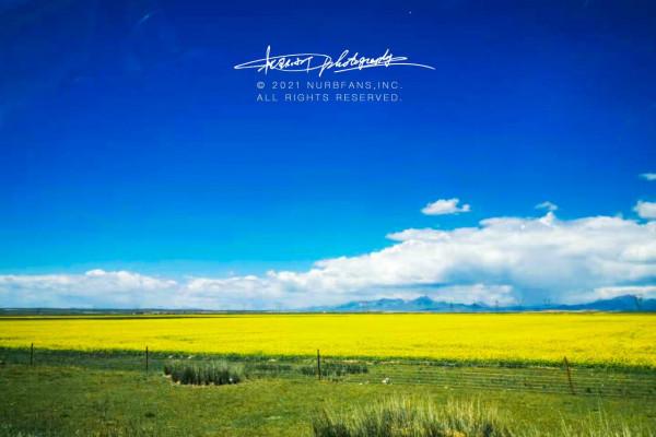 上汽大眾新途觀L青海試駕 中期大改款頗有誠意原創 上汽大眾新途觀L青海試駕 中期大改款頗有誠意原創