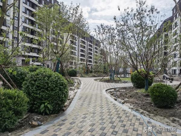 海淀新盤、紫郡蘭園、均價5.3萬、89平米、現房、剩53套房源