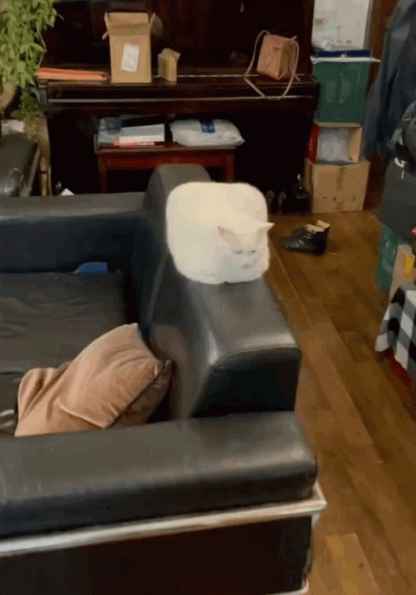 黃曉明baby婚變的原因找到了?哈哈離婚複合都網友說了算 黃曉明baby婚變的原因找到了?哈哈離婚複合都網友說了算