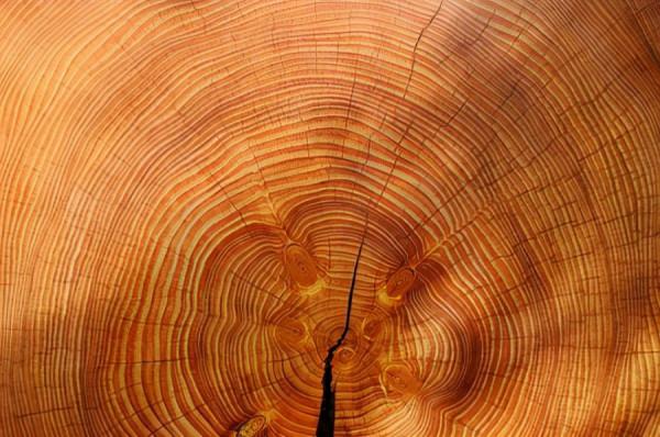 大約1萬年前讓地球地動山搖的“超級耀斑”有可能捲土重來