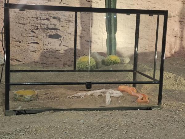 內蒙古科技館一日遊