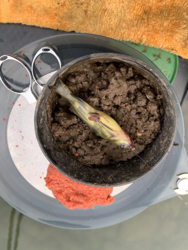 能夠起的早選好位置,空軍基地也是可以有收穫的 能夠起的早選好位置,空軍基地也是可以有收穫的