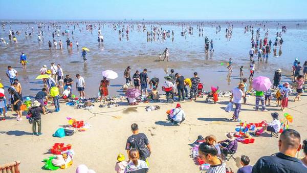 上海很美的大眾海灘，不要門票，車子免費停，螃蟹免費抓