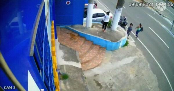 太暖心了，巴西懷孕流浪狗自行去診所求分娩，愛心醫生全程助力