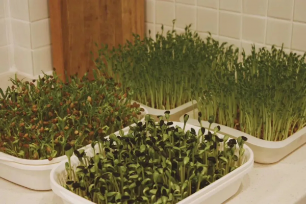 一個女生的東西可以少到什麼地步？